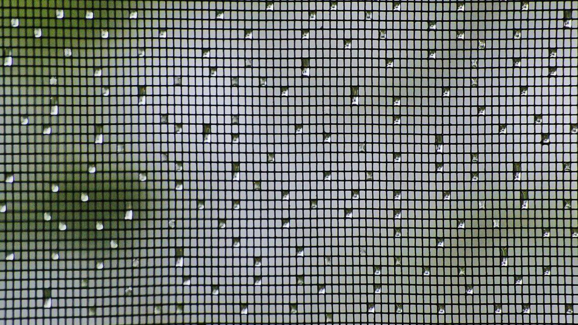 Schutz vor dem Ungeziefer dank Insektenschutztür
